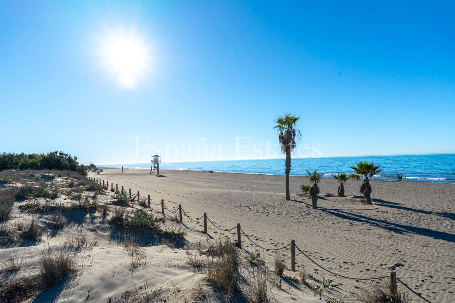 Beachfront!