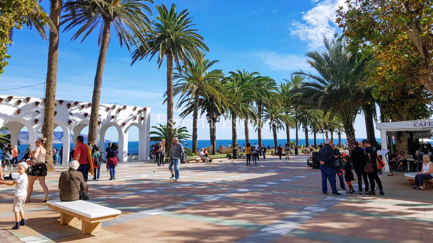 Panoramic views, infinity pool and gym!