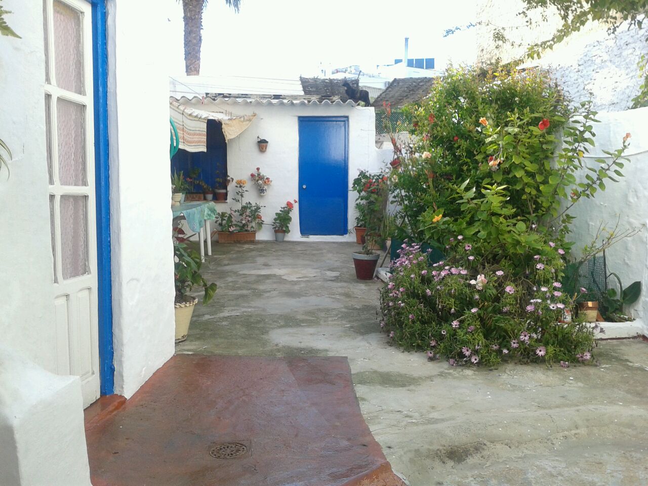 Lebe in der Carabeo Street in Nerja!