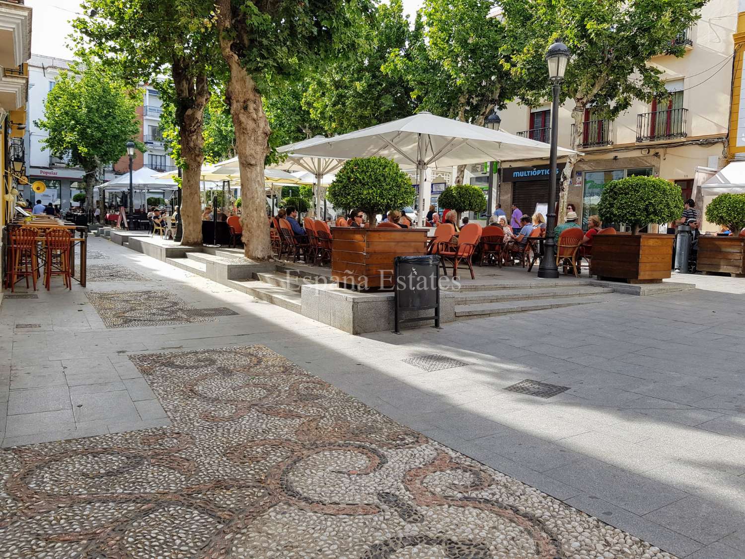 Appartement à Nerja avec terrasse sur le toit !