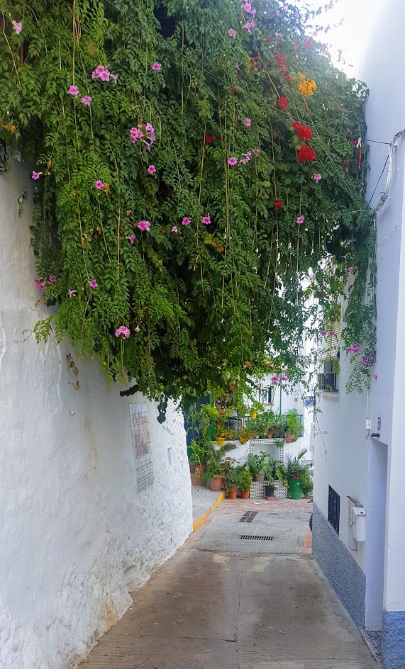 ¡Nuevo ático con vistas al mar!