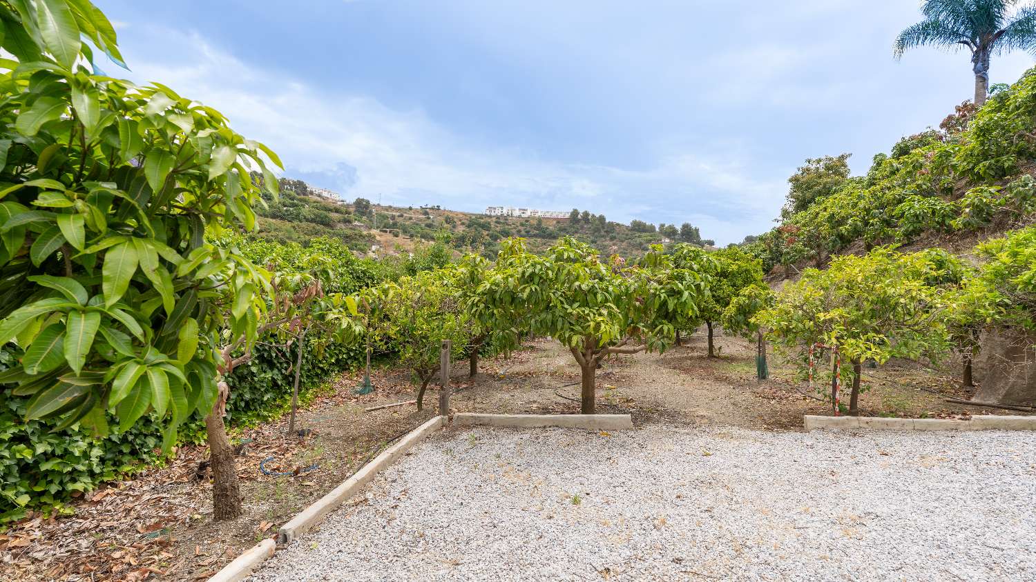 ¡Vistas a Frigiliana desde la tumbona!