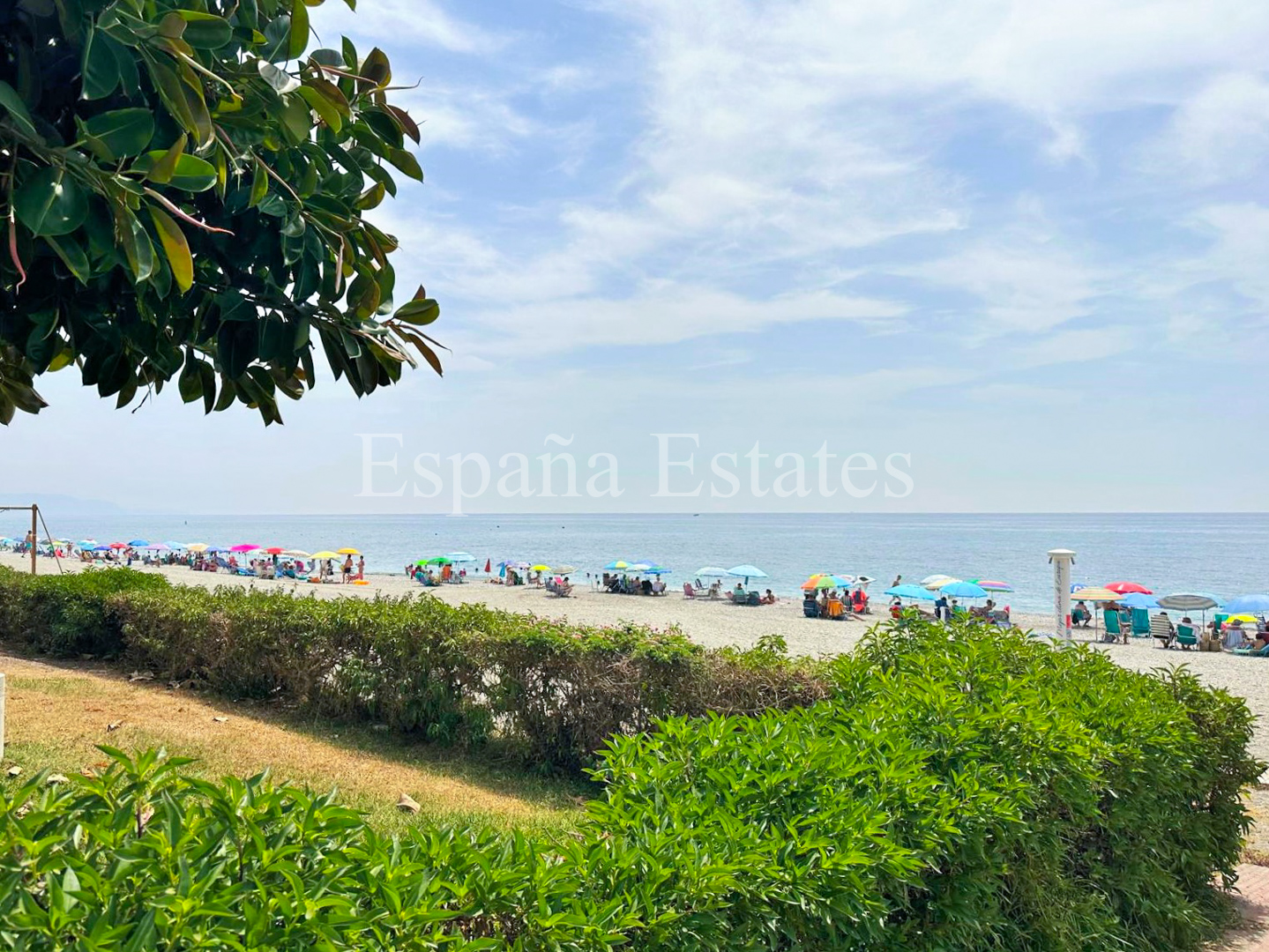 Apartamento en primera línea de playa!