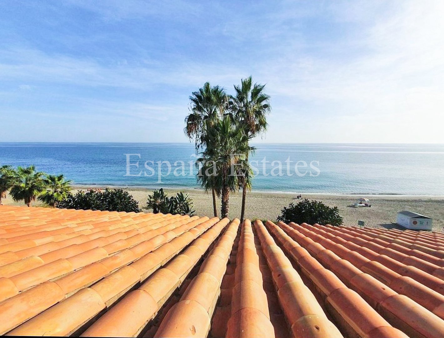 Apartamento en primera línea de playa!